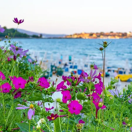 Apartment Perla Nesebar